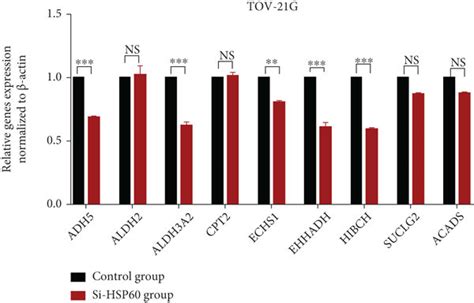 Hsp60 Regulation In Lipid Metabolism Pathways A The Mrna Expressions