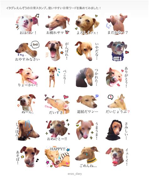 愛犬写真で実写lineスタンプを作ってみたよ。うちの仔スタンプ出来上がり。 たれ耳ダイアリー