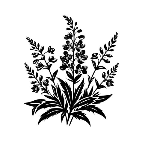 Premium Vector Fireweed Wild Flower Vector Silhouette Illustration