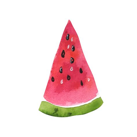 Watercolor Fruit Slice Of Watermelon Png