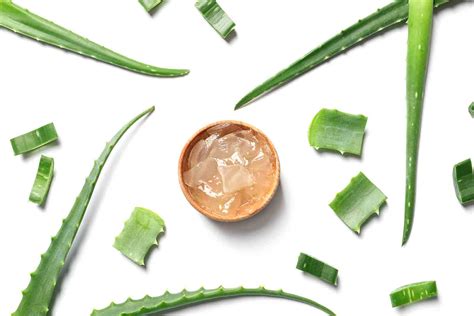 Los Incre Bles Beneficios Del Aloe Vera Para El Cabello Batiste