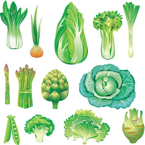 Green Leafy Vegetables Clipart