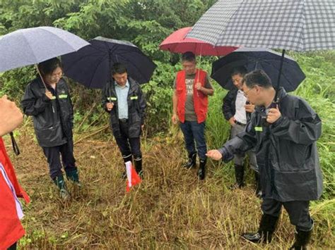 南京江北新区葛塘街道：坚持一线工作法 党员干部冲锋在前机械葛塘街道防汛新浪新闻