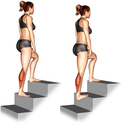 Calves Stretch Guide: How-To, Calves Anatomy, Benefits, and Variations ...