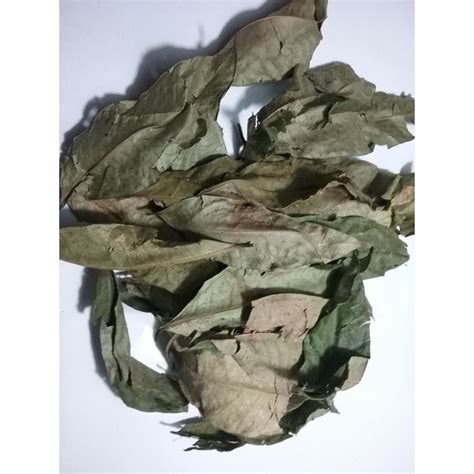 Jual Daun Salam Kering Dried Bay Leafs Gram Shopee Indonesia