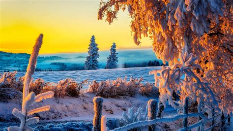 Snowy Landscape Sunset