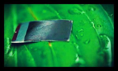 The Link Between the Artificial Leaf and Development