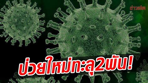 เศร้า เสียชีวิต 29ศพ โควิดวันนี้ ป่วยใหม่ทะลุ 2พัน ปอดอักเสบ 790ราย