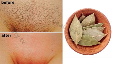 Get Rid Of Facial Body Pubic Hair PERMANENTLY Stop Shaving Now