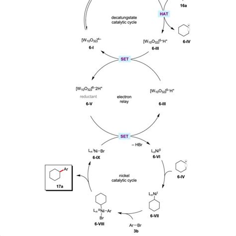 Proposed Mechanism For The Photoredox Nickel Catalyzed Acylation Of