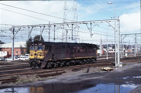 New South Wales Railroad Baureihe 442 Class