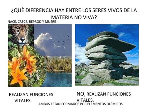 LA BIODIVERSIDAD RESULTADO DE LA EVOLUCIÓN PPT