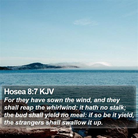 Hosea Kjv For They Have Sown The Wind And They Shall Reap