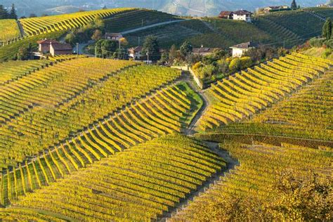 Le Migliori Degustazioni Vini A Torino E Dintorni Holidoit