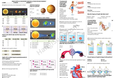 S N F Fen Bilimleri Testleri Pdf Ndir Sayfa