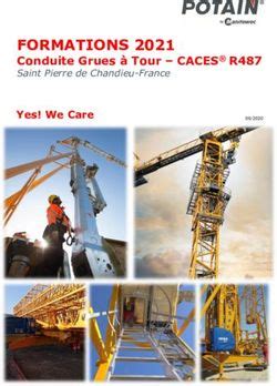 Formations Conduite Grues Tour Caces R Saint Pierre De