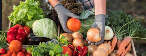 Health Benefits Of Farmers Markets Johns Hopkins Medicine