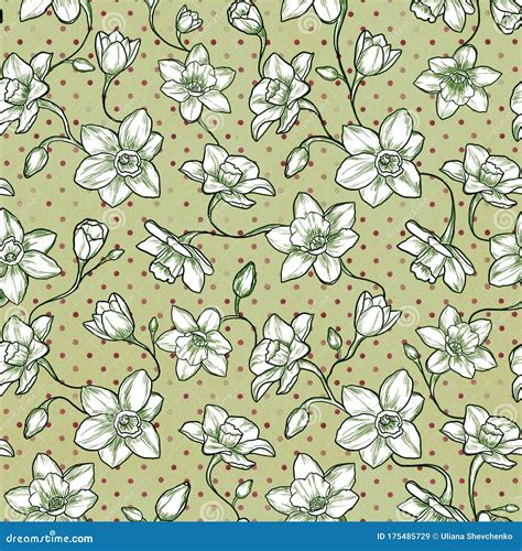 Narcissus Floral Pattern Seamless Design Stock Illustration