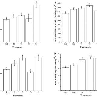 Soil Enzyme Activities In Soil With Different Cd Concentrations And