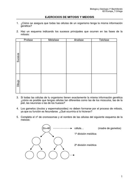 Ejercicios De Mitosis Y Meiosis Pdf