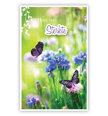 Korenbloemen En Vlinders PrimeurCards