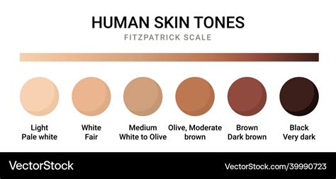 Olive Skin Tone Chart