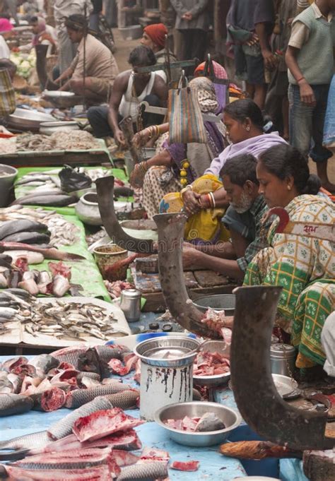 Indian Fish Market Editorial Photo Image Of Travel Fish 7574901