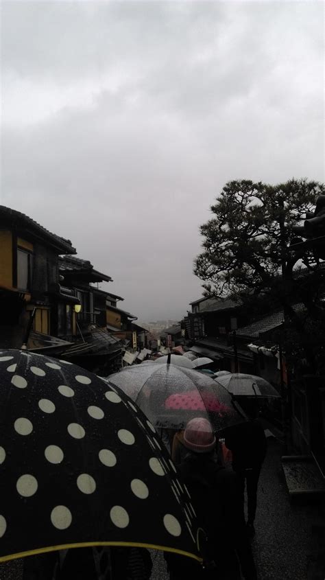 Kyoto Rain : r/raining