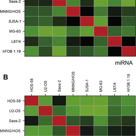 Correlation Heat Maps Pearson Demonstrate The Similarity Of Mirna A Download Scientific