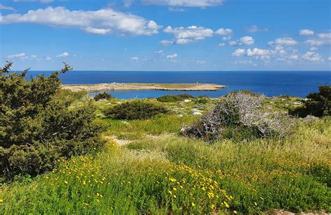 Cape Greco National Forest Park Agia Napa Protaras Arrivalguides