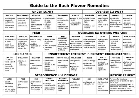 Quick View Guide To The Bach Essence Indications R Herblore