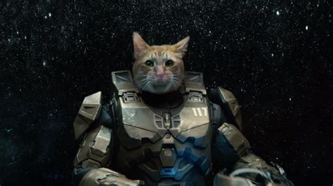 Xbox Series X Ad By Taika Waititi Reveals Meowster Chief Laptop Mag