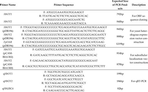 Primers Used In The Experiments Download Scientific Diagram