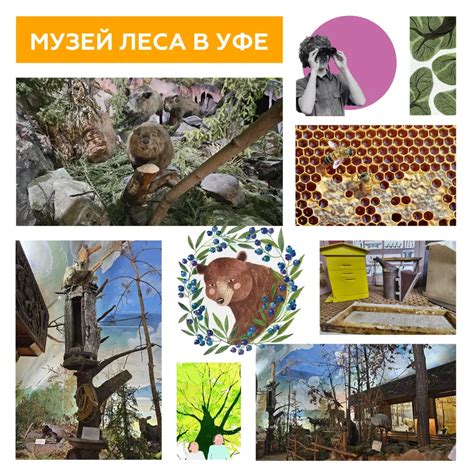 Музей леса в Уфе - dots