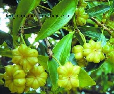 Anethol China Anethol And Natural Anise