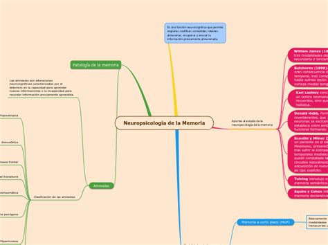 Neuropsicología De La Memoria Mind Map