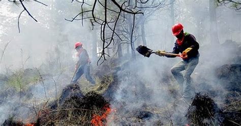 Registran Más De 140 Incendios En Diferentes Estados De La República