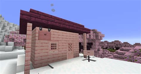 Minecraft Update Will Add Cherry Blossom Biome Archaeology And