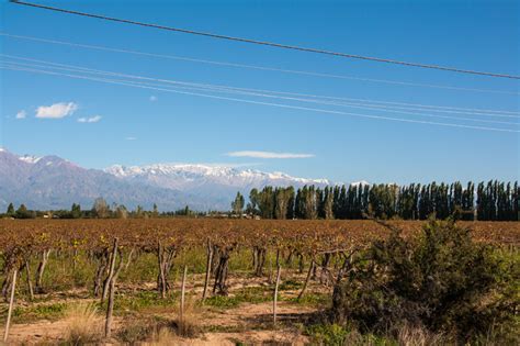 vineyards-on-way-into-mendoza - DennersHQ