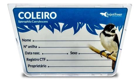 Placa De Gaiola Identificação De Pássaros 3 Unidades MercadoLivre