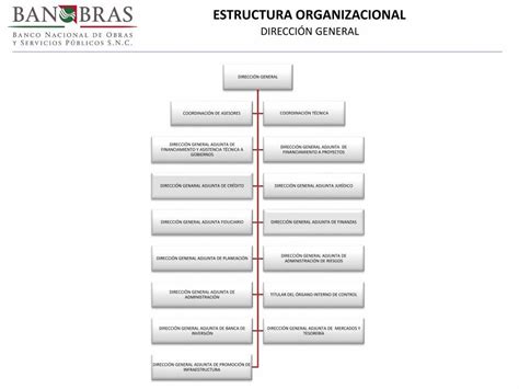 Pdf Estructura Organizacional … · Estructura Organizacional