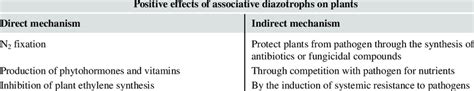 1 Effects of diazotrophs on plants. | Download Scientific Diagram