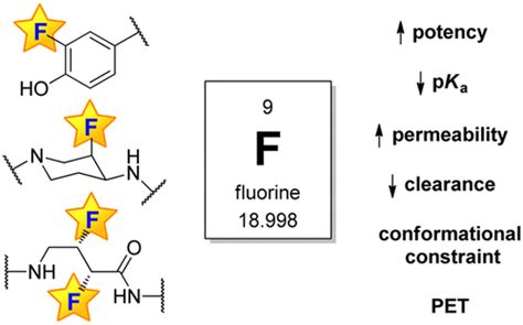 Fluorine Molecular Structure