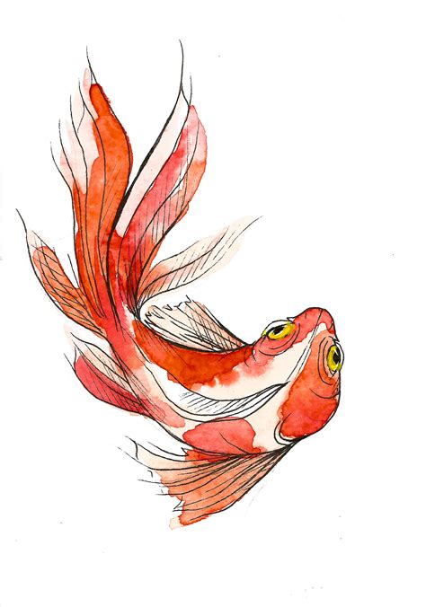 Watercolor Koi Fish Behance