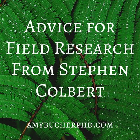 Advice for Field Research From Stephen Colbert | Amy Bucher, Ph.D.