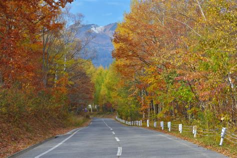 紅葉と乗鞍岳 ピクスポット 絶景・風景写真・撮影スポット・撮影ガイド・カメラの使い方