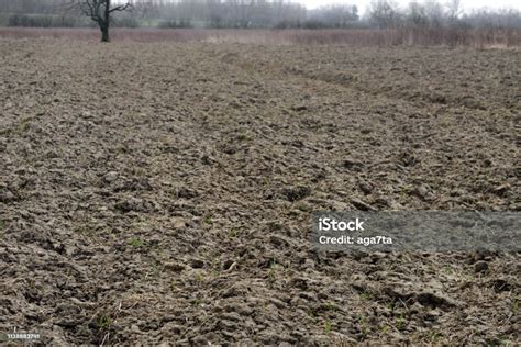 Muddy Soil Field Background Stock Photo Download Image Now