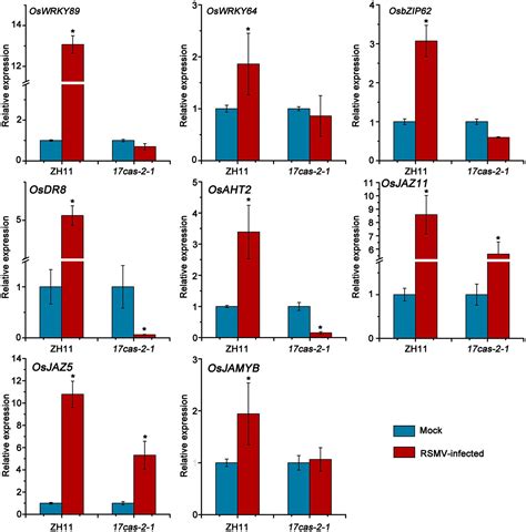 Frontiers Transcriptome Analysis Of Auxin Transcription Factor