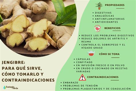 Los Poderes Protectores Del Amuleto De Ajo Descubre Para Qu Sirve Y