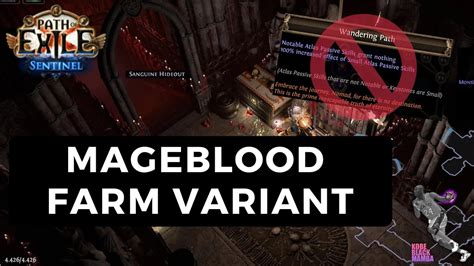 PoE 3 18 How To Farm Mageblood W No Wandering Path Variant Should